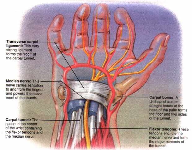 Carpal sérülések